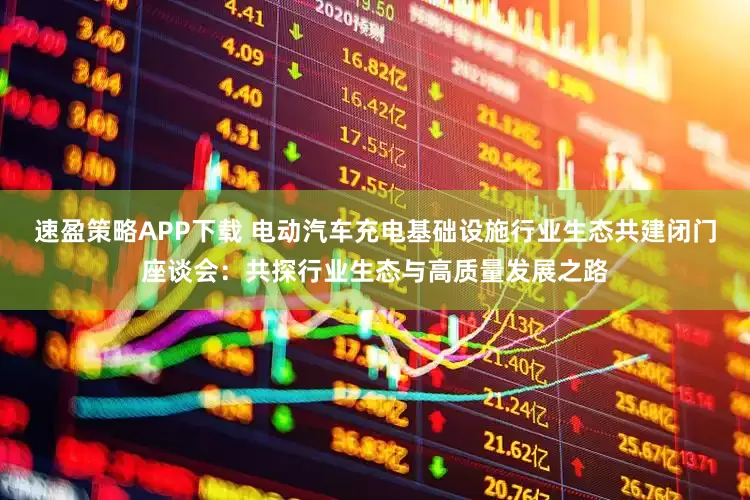 速盈策略APP下载 电动汽车充电基础设施行业生态共建闭门座谈会：共探行业生态与高质量发展之路